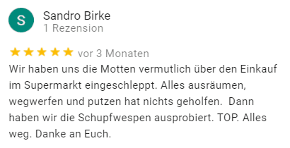 Google Bewertung HILDE Schlupfwespen